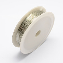 Honeyhandy Iron Wire, Silver, 24 Gauge, 0.5mm, about 22.96 Feet(7m)/roll, 10 rolls/set