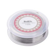 ARRICRAFT Steel Wire, Silver, 0.1mm; About 800m/roll