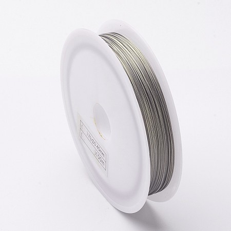 Honeyhandy DIY Jewelry Thread Findings Colored Tiger Tail Wire, Nylon-coated Stainless Steel, Stainless Steel Color, 0.45mm, about 164.04 Feet(50m)/roll