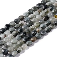ARRICRAFT Natural Hawk's Eye Beads Strands, Eagle Eye Stone, Faceted, Flat Round, 4x3mm, Hole: 0.8mm, about 95pcs/strand, 15.35''(39cm)