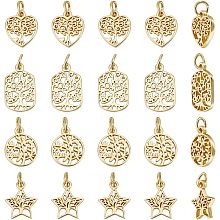 Beebeecraft 1 Box 24Pcs 4 Styles Tree of Life Charms 18K Gold Plated Hollow Flat Round Pentagram Rectangle Heart Shape Charms Pendant with Jump Ring for DIY Making Crafts Necklace Bracelet Hole 3mm