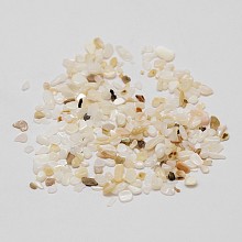 Honeyhandy Natural Shell Nuggets Chips Bead, No Hole, Seashell Color, 2~5x1~3x2mm