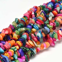 ARRICRAFT Natural Chip Dyed Shell Bead Strands, Shell Shards, Colorful, 5~14x5~10mm, Hole: 1mm, about 33.85 inches