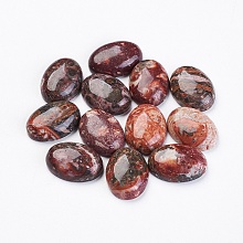 Honeyhandy Natural Leopard Skin Jasper Cabochons, Oval, 18x13x5~6mm