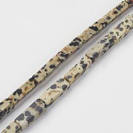 Honeyhandy Natural Dalmatian Jasper Beads Strands, Cuboid, 13~13.5x3~5x3~5mm, Hole: 0.5mm, about 29~31pcs/strand, 15.3~15.7 inch(390~400mm)