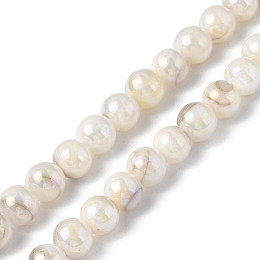 Honeyhandy Natural Freshwater Shell Beads Strands, AB Color Plated, Round, Seashell Color, 6.5mm, Hole: 1mm, about 64pcs/strand, 15.35 inch(39cm)