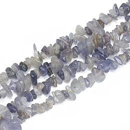 Honeyhandy Natural Iolite Beads Strands, Chip, 5~11x3~9x1~9mm, Hole: 1mm, about 200~300pcs/strand, 33.8 inch