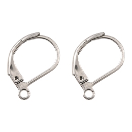 Honeyhandy 304 Stainless Steel, Leverback Earring Findings, with Loop, 15x10x2mm, Hole: 1.5mm