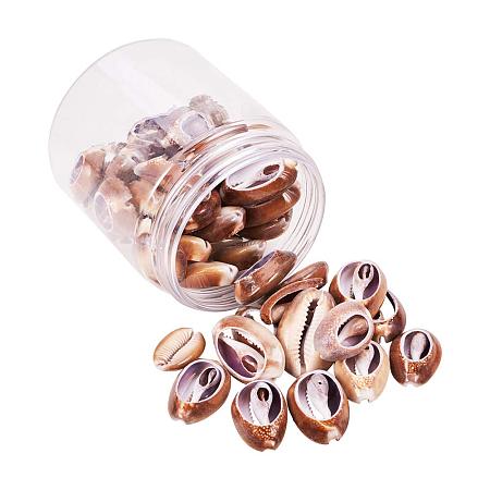 PandaHall Elite 50 pcs Tiny Cowrie Sea Shells Oval Ocean Beach Spiral Seashells Craft Charms Length 26-35mm Candle Making Home Decoration Party Wedding Decor Fish Tank Vase Filler(No Hole)