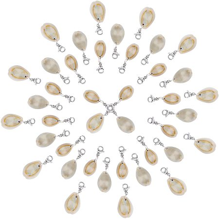 SUNNYCLUE 40Pcs Seashell Charms Oval Ocean Beach Spiral Natural Cowrie Conch Shells Pendants with Lobster Claw Clasps for Jewelry Making DIY Necklace Bracelet Earring Supplies Accessories