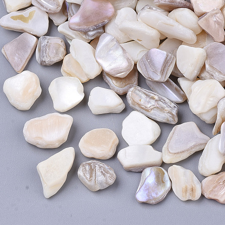 ARRICRAFT Freshwater Shell Beads, Undrilled/No Hole Beads, Chip, Seashell Color, 6~13x4~9x1~6mm