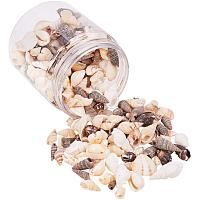 PandaHall Elite 180g Tiny Sea Shell Ocean Beach Spiral Seashells Craft Charms for Candle Making, Home Decoration, Beach Theme Party Wedding Decor, Fish Tank and Vase Filler