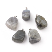 Honeyhandy Natural Labradorite Pendants, with Platinum Tone Brass Findings, Nuggets, 23~30x13~22x12~20mm, Hole: 5x3mm