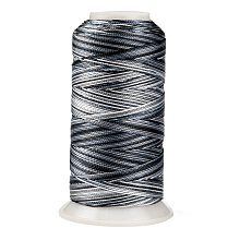 Honeyhandy Segment Dyed Round Polyester Sewing Thread, for Hand & Machine Sewing, Tassel Embroidery, Gray, 12-Ply, 0.8mm, about 300m/roll