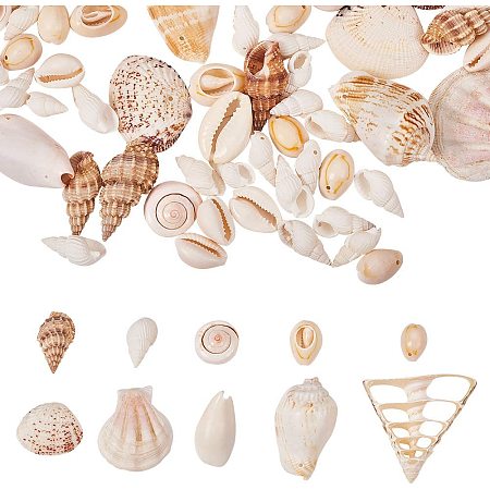 PandaHall Elite 10 Kinds Tiny Sea Shell Ocean Beach Spiral Seashells Craft Charms for Candle Making, Home Decoration, Beach Theme Party Wedding Decor, Fish Tank Vase Filler