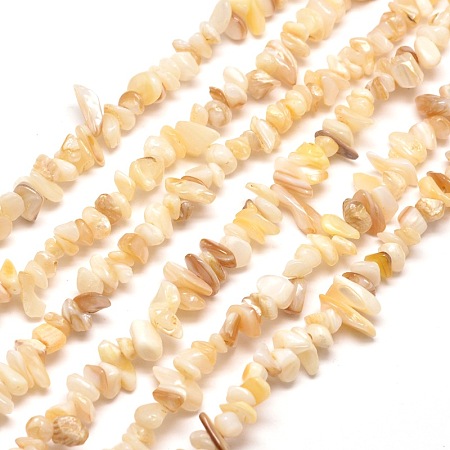 Honeyhandy Natural Freshwater Shell Chip Bead Strands, Shell Shards, 5~8x5~8mm, Hole: 1mm, about 31.5 inch