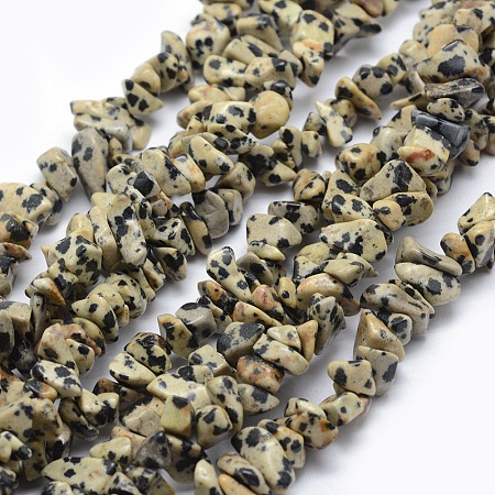 Honeyhandy Natural Dalmatian Jasper Beads Strands, Chip, 5~8mm, Hole: 1mm, about 33 inch(84cm)