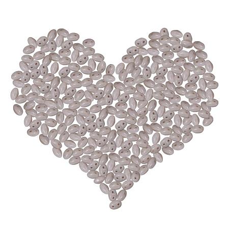 ARRICRAFT 1 Box (About 600pcs) Gray Two Hole Japanese Glass Seed Beads 5x3.5x3mm