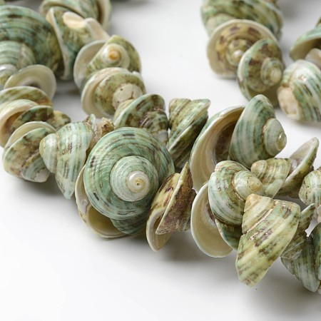 Honeyhandy Natural Shell Bead Strands, Dark Sea Green, 10~15x9~17x6~10mm, Hole: 1mm, about 78pcs/strand, 15.7 inch