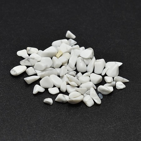 Honeyhandy Howlite Chip Beads, No Hole/Undrilled, 2~8x2~4mm, about 340pcs/20g