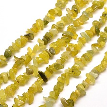 Honeyhandy Natural Jade Chip Bead Strands, 5~8x5~8mm, Hole: 1mm, about 31.5 inch