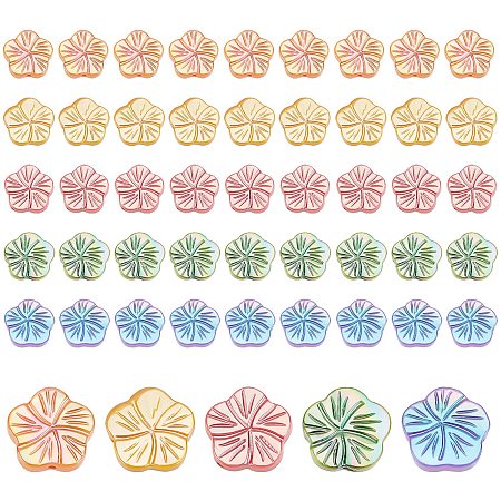 PandaHall Elite 5 Colors Flower Shell Beads, 50pcs Freshwater Seashell Beads Floral Loose Beads Ocean Beach Seashells Charms for Wakiki Hawaii Anklet Bracelet Craft Making Home Decoration Beach Party