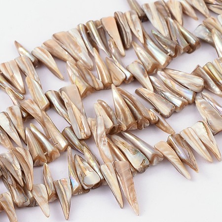ARRICRAFT Natural Shell Beads Strands, Erose, White, about 4~9mm wide, 13~35mm long, hole: about 0.5mm, 14 inches