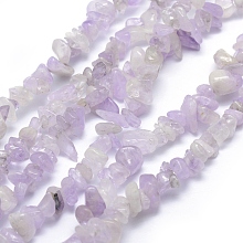 Honeyhandy Natural Amethyst Beads Strands, Chip, 5~8mm, Hole: 1mm, about 33 inch(84cm)