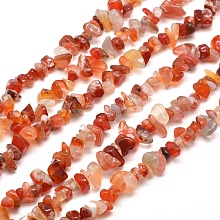 Honeyhandy Natural Agate Chip Bead Strands, Dyed & Heated, 5~8x5~8mm, Hole: 1mm, about 31.5 inch