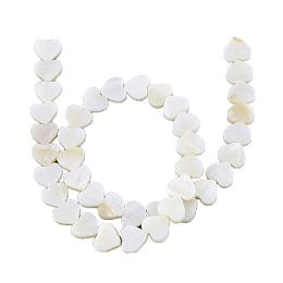 ARRICRAFT 5 Stands 200pcs Ivory Heart Sea Shells Spiral Seashells Natural Gemstone Beads for Necklace, Bracelet, Jewelry Making, Home and Wedding Decor (14")