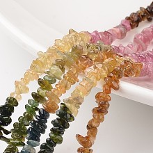 ARRICRAFT Chip Natural Tourmaline Bead Strands, Grade A+, 3~4x4~5mm, Hole: 1mm, about 15.7 inches