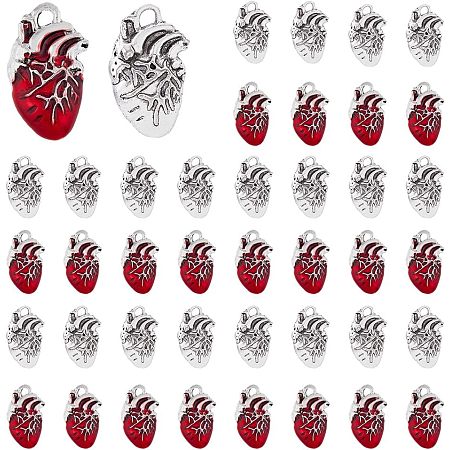 DICOSMETIC 60Pcs Alloy Red Heart Charms 2 Colors Anatomical Heart Charms 3D Heart Organ Charms Tibetan Style Human Anatomy Pendants for Biology Medical Nurse Jewelry Making, Hole: 2.5mm