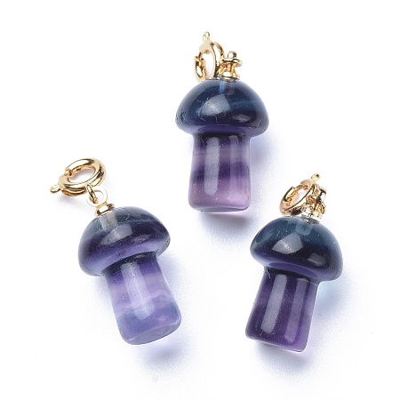 Honeyhandy Carved Natural Fluorite Pendants, with Brass Spring Ring Clasps, Long-Lasting Plated, Mushroom, Golden, 28mm, Pendant: 20x11.5mm