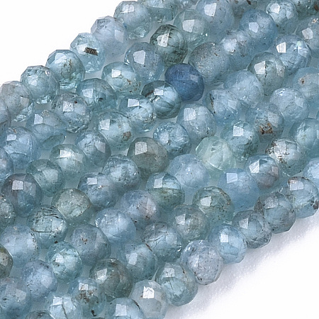 ARRICRAFT Natural Apatite Beads Strands, Rondelle, Faceted, 3x2mm, Hole: 0.7mm, about 185pcs/Strand, 15.55 inches(39.5cm)