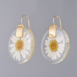 Honeyhandy Alloy Resin Dangle Earrings, with Dried Flower and Brass Hoop Earrings, Flat Round, Golden, 43.5x32x5mm, Pin: 0.7mm