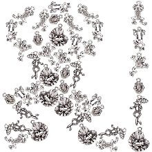 SUNNYCLUE 1 Box 108Pcs 6 Styles Frog Charms Bulk Antique Silver Plated Animal Alloy Tibetan Style Pendants Umbrella Lotus Leaf for Jewelry Making Charms Earrings Bracelets Crafts Findings