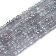 ARRICRAFT Natural Labradorite Beads Strands, Faceted, Rondelle, 3~3.5x2~2.5mm, Hole: 0.2mm, about 120~189pcs/strand, 16.2~16.4 inches(41.3~41.7cm)