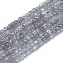 ARRICRAFT Natural Labradorite Beads Strands, Faceted, Rondelle, 3~3.5x2~2.5mm, Hole: 0.2mm, about 120~189pcs/strand, 16.2~16.4 inches(41.3~41.7cm)