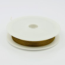 Honeyhandy Tiger Tail Wire, Nylon-coated Stainless Steel Wire, Goldenrod, 0.38mm, about 164.04 Feet(50m)/roll