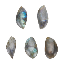 AHANDMAKER 5 Pcs Natural Labradorite Stone, Muti Shape Loose Gemstone Rainbow Cabochon Pendants for DIY Jewelry Necklace Wire Wrapping Craft Making, Hole: 1mm