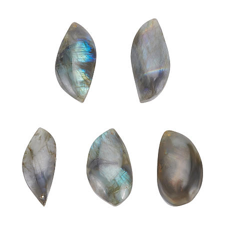 AHANDMAKER 5 Pcs Natural Labradorite Stone, Muti Shape Loose Gemstone Rainbow Cabochon Pendants for DIY Jewelry Necklace Wire Wrapping Craft Making, Hole: 1mm