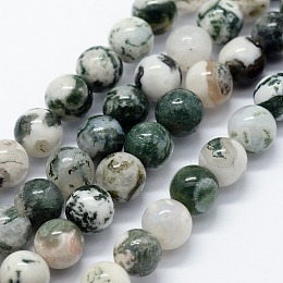 Arricraft Natural Tree Agate Beads Strands, Round, 4mm, Hole: 1mm, about 95pcs/strand, 14.76 inches(37.5cm)