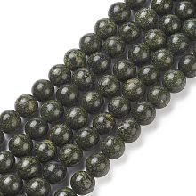 Honeyhandy Natural Serpentine/Green Lace Stone Beads Strands, Round, 10mm, Hole: 1mm, about 36pcs/strand, 15 inch