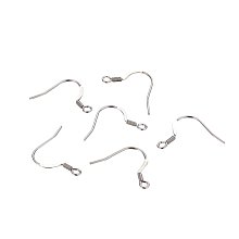 NBEADS 100pcs Stainless Steel Earring Hooks Earring Wires for Jewelry Making Earring Findings,17x18x1.8mm