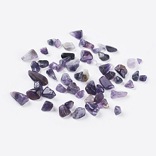 Honeyhandy Amethyst Chips Floating Charms Fit Floating Locket Pendants, No Hole/Undrilled, 5~8mm