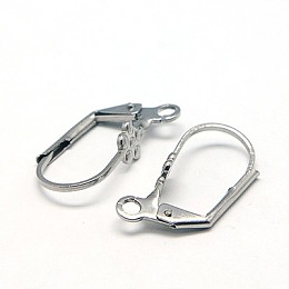 Honeyhandy 304 Stainless Steel Leverback Earring Findings, with Loop, Stainless Steel Color, 19.5x10mm