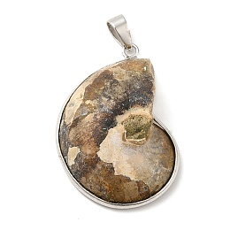 Honeyhandy Fossil Pendants, with Platinum Brass Pendant Settings, Snail, Dark Khaki, 40~50x27~35x8mm, Hole: 4x6mm