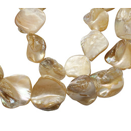 Honeyhandy Handmade Natural Shell Beads Strands, Rhombus, Goldenrod, Size: about 18-20mm long, 14-20mm wide, 3-12mm thick, hole: 1mm, about 20~21pcs/strand, 16 inch
