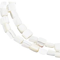 BENECREAT 2 Strands Creamy White Natural Mother of Pearl Shell Column Shell Beads Strands for Jewelry Making 56pcs/Strand