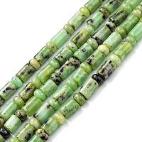 Arricraft Natural Australian Jade Beads Strands, Column & Rondelle, Rondelle: 6.3~6.5x3.5~4mm, Column: 6~6.2x7.5~9.5mm, Hole: 1mm, about 63pcs/strand, 16.14~16.34 inch(41~41.5cm)